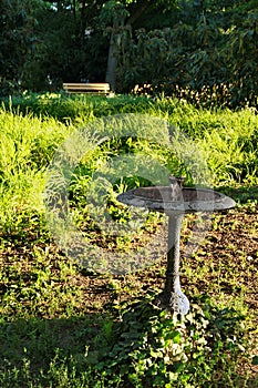 Â bird drinking fountain in the park